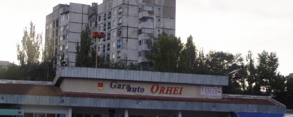 
            Фотография Оргеева