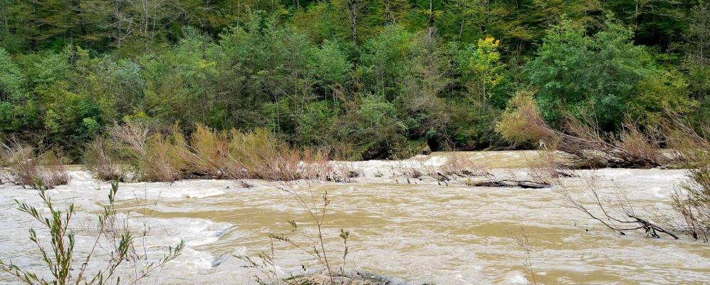 
            Фотография Навагинского