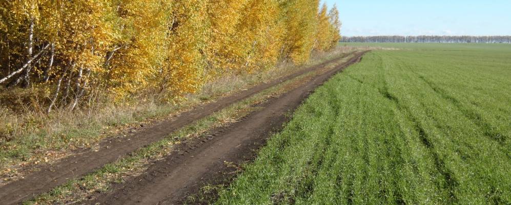 
            Фотография Половецкого