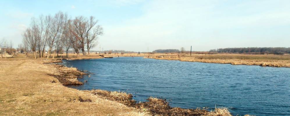 
            Фотография Рычагова