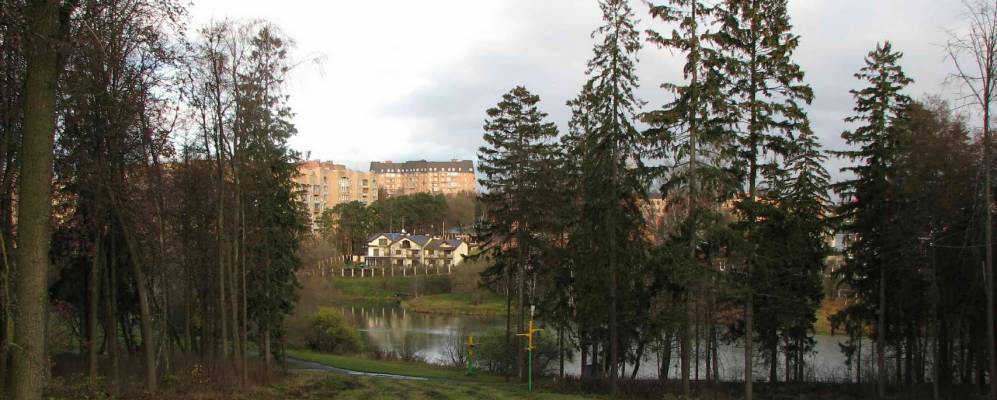 
            Фотография Губкино