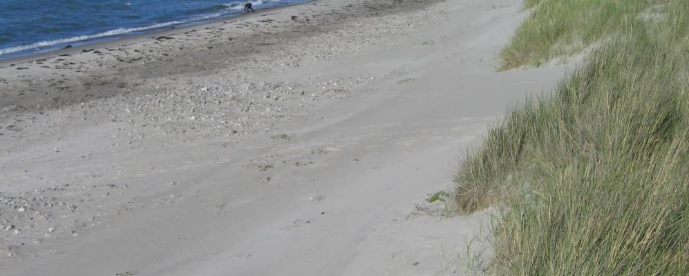 
            Фотография Эстербю