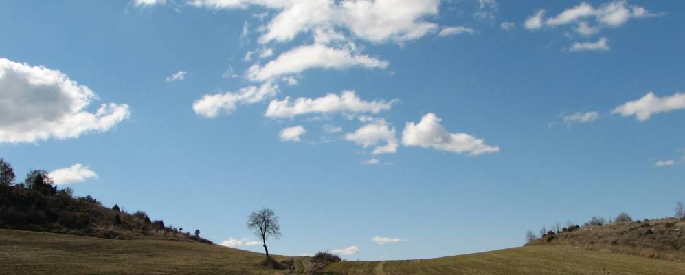 
            Фотография Лусага