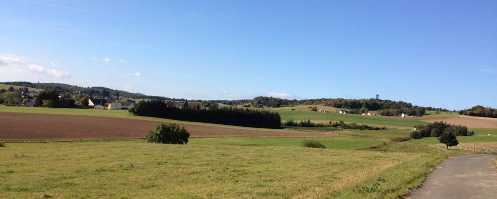 
            Фотография Lind