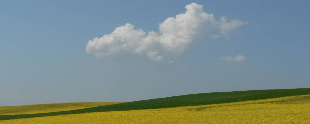 
            Фотография Деспеталя