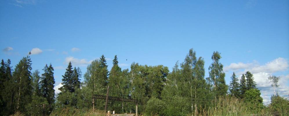 
            Фотография Покровки