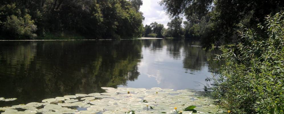 
            Фотография Подгорья