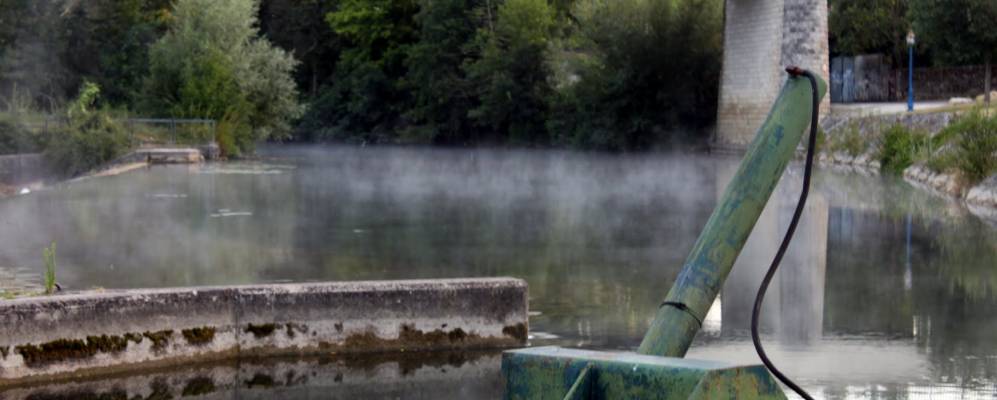 
            Фотография Кутра