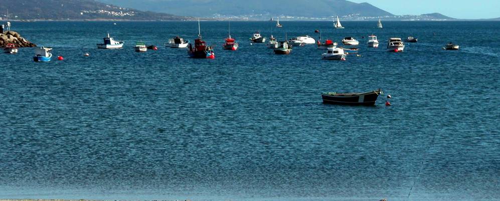 
            Фотография Сее