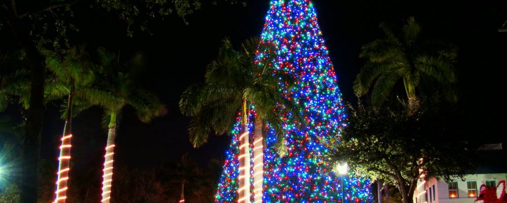 
            Фотография Делрей-Бич