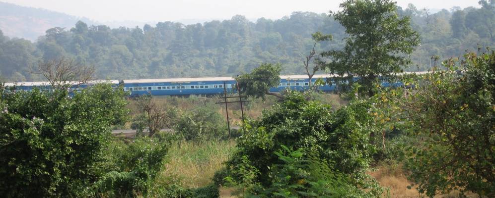 
            Фотография Нагатаны