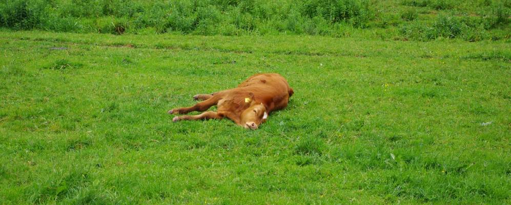 
            Фотография Эцельванга