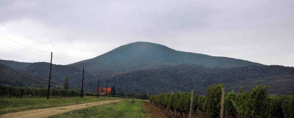 
            Фотография Вршаца