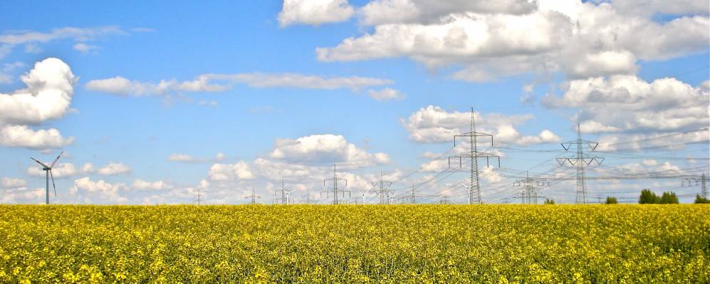 
            Фотография Замсвегена