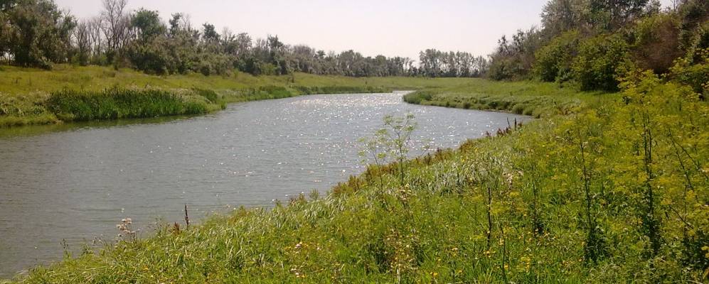 
            Фотография Тишениновки