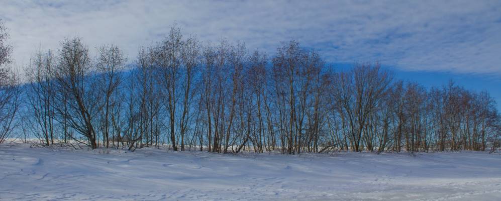 
            Фотография Кавколы