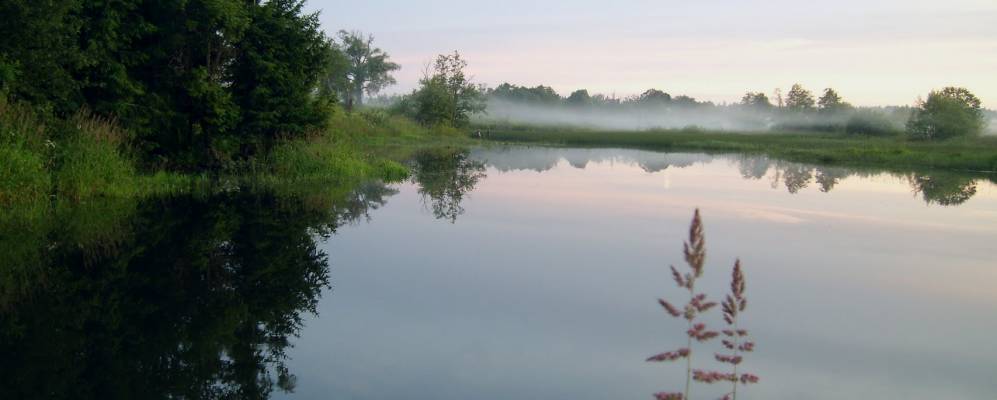 
            Фотография Симанково