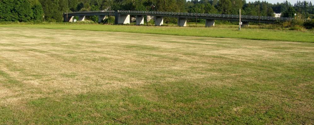 
            Фотография Давола