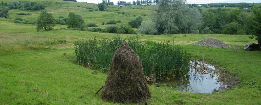 
            Фотография Верхние Становцы