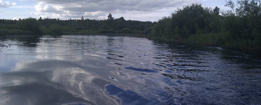 
            Фотография Долгово