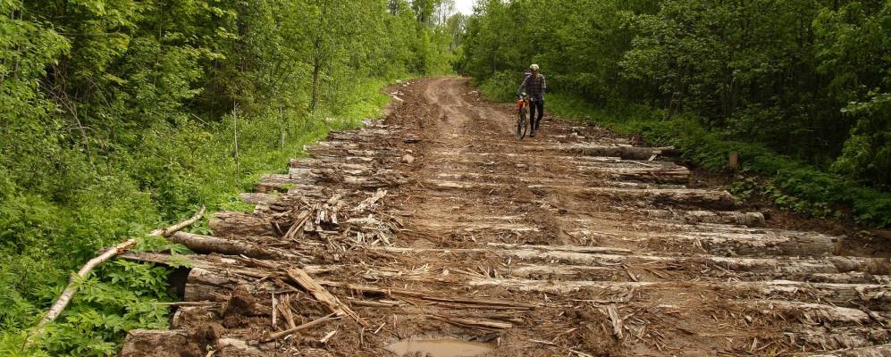 
            Фотография поселка Колтуши
