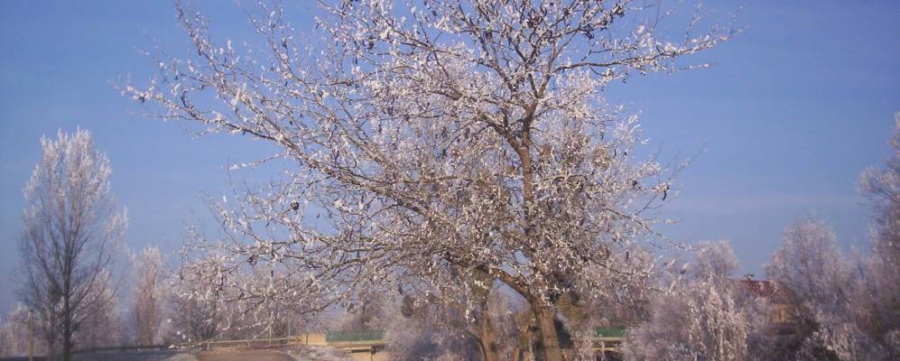 
            Фотография Нёйи-ле-Дижона