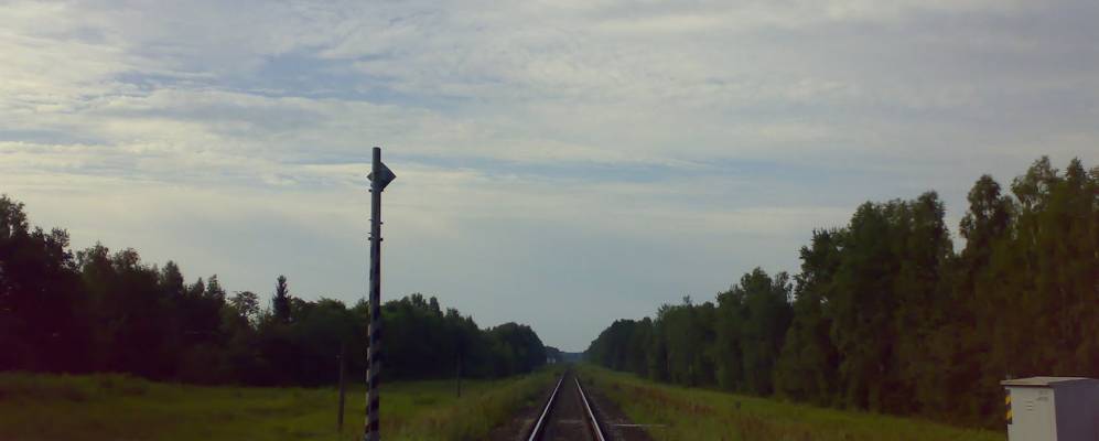 Фотография Боровки