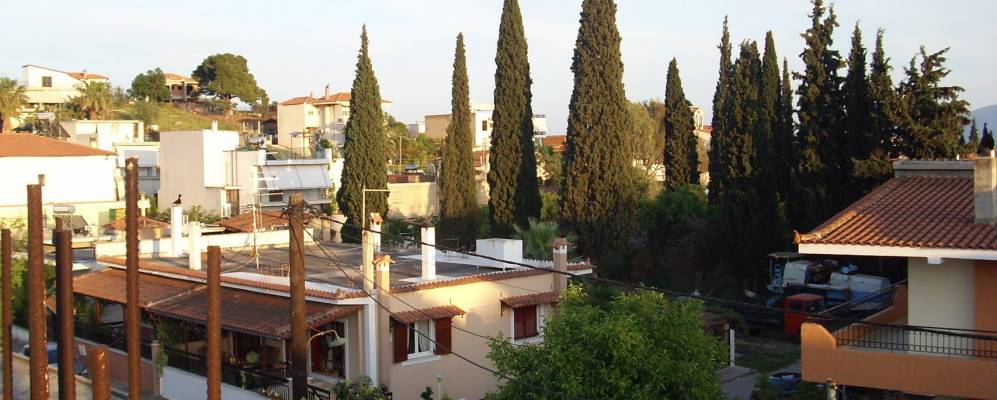 
            Фотография Амаринтоса