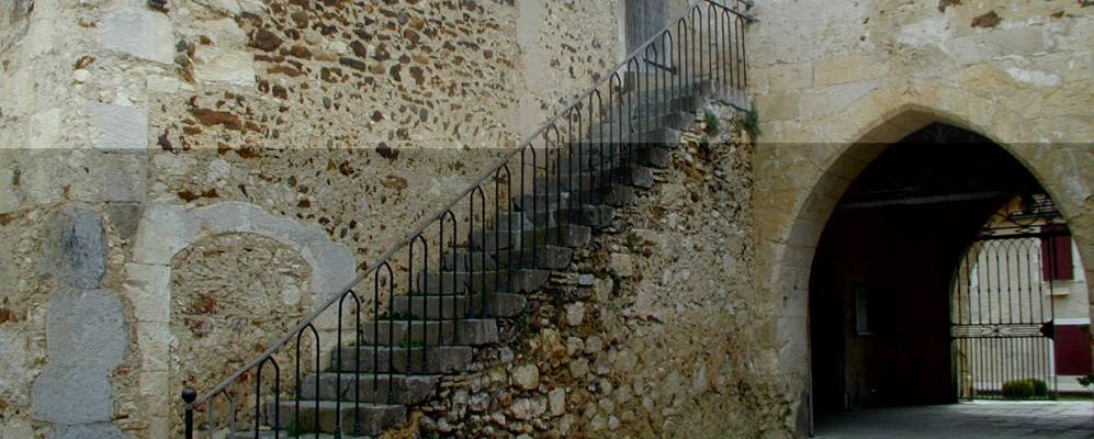 
            Фотография Аму