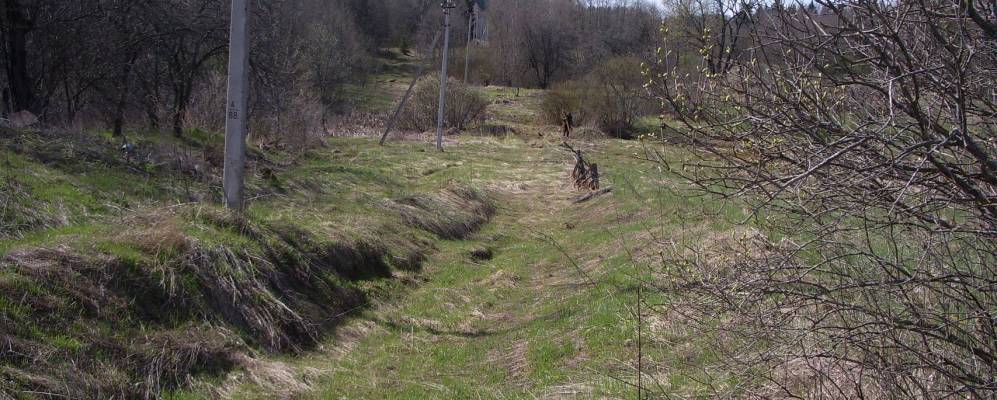 
            Фотография Лужей