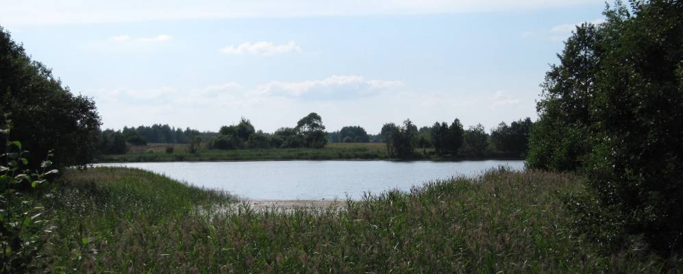 Фотография Каменполья