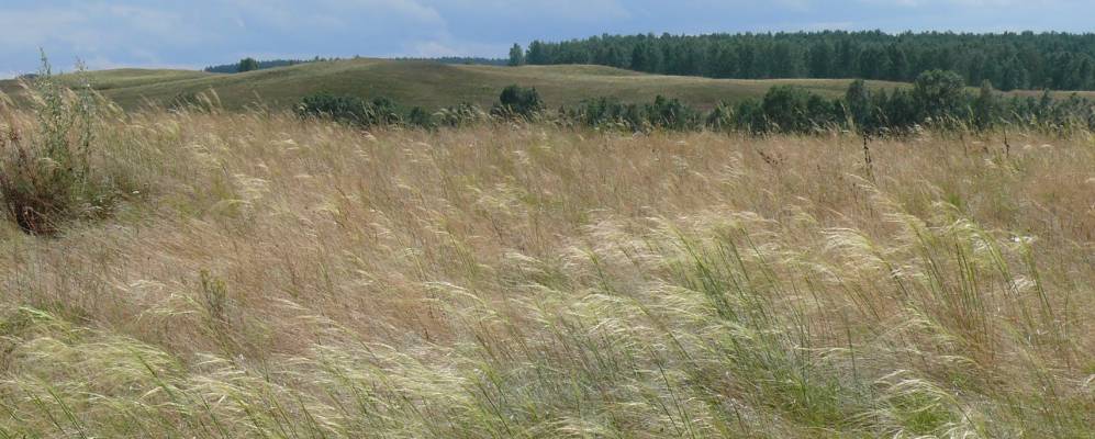 
            Фотография Устюжанино