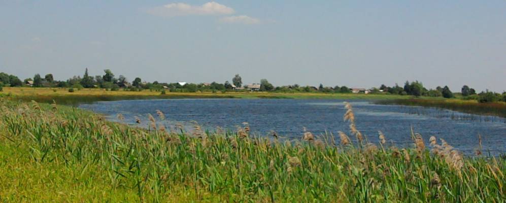 
            Фотография деревни Ступины Деревеньки