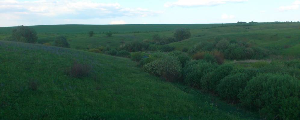 Фотография Новоалександровки