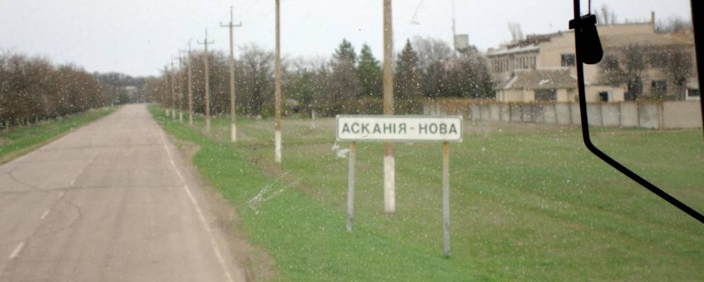 
            Фотография Молочного