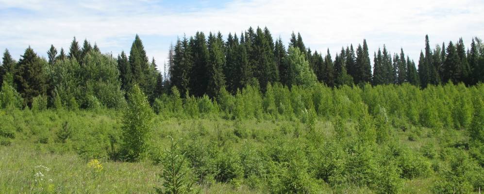 Фотография Опана