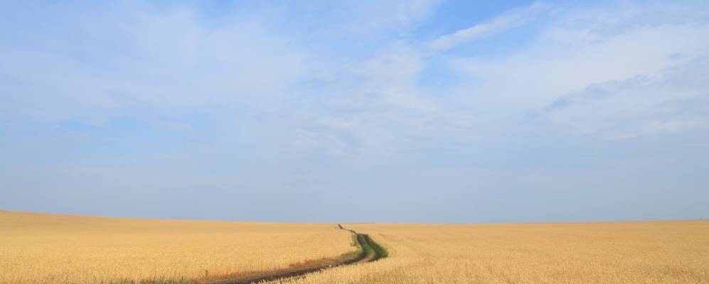 
            Фотография Урожайного