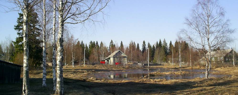 
            Фотография Киприи