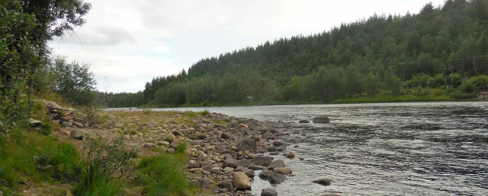 
            Фотография при станции Лопарская