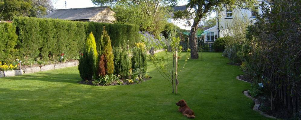 
            Фотография Кингстеигнтона