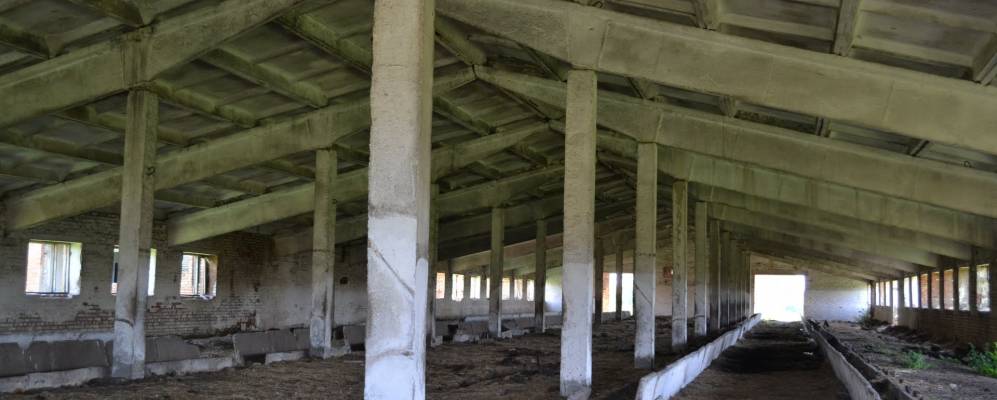 
            Фотография Лысянки