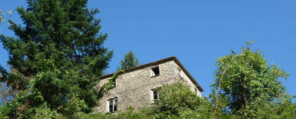 
            Фотография Фаджоны