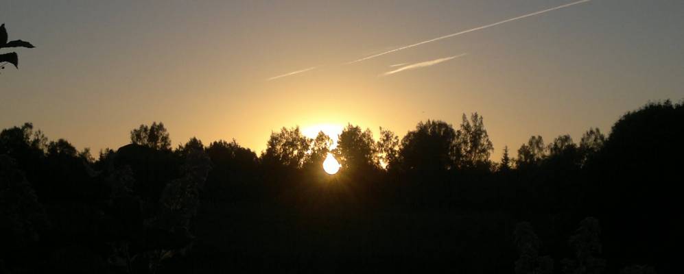 
            Фотография Александровского