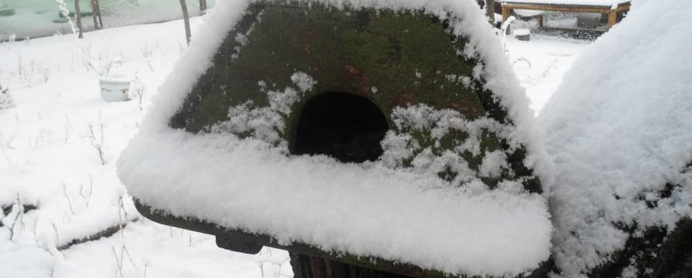 
            Фотография Новомарьевки