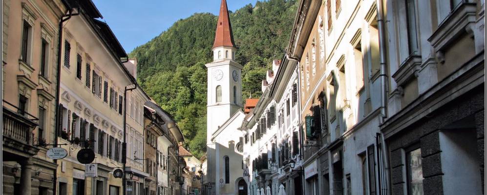 
            Фотография Тржича