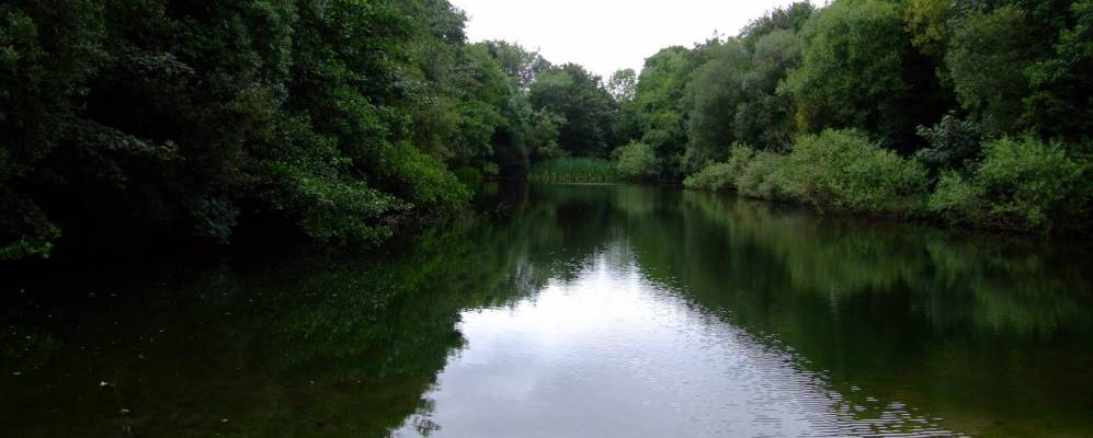 
            Фотография Каслвеллана