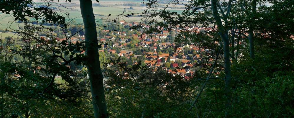 
            Фотография Дарлингероне