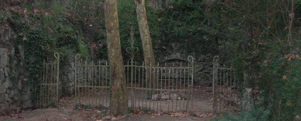 
            Фотография Архентоны