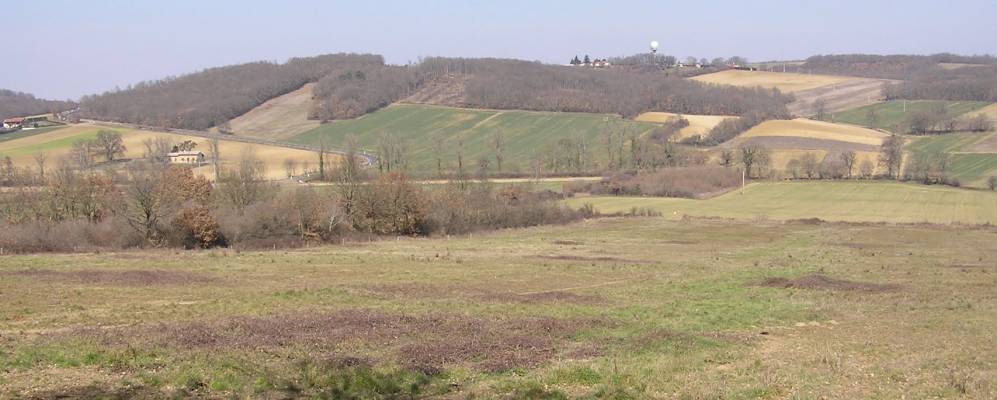 Фотография Льа