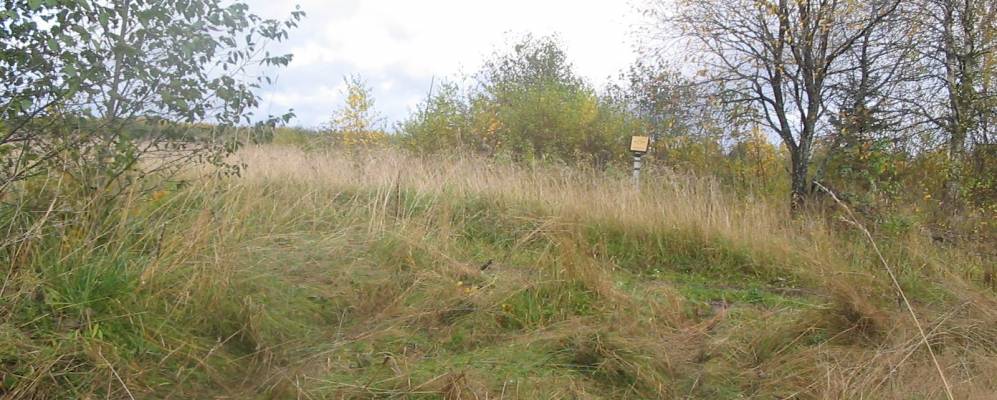 
            Фотография Кишкино